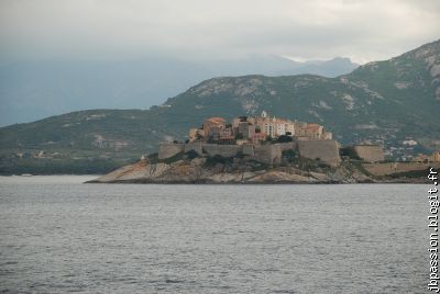 Calvi